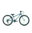 Tiger Beat 24”Junior Mountain Bike Grey